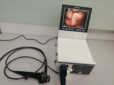 Endoscope vétérinaire